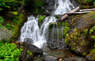 rain-forest-waterfall-1