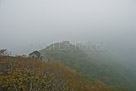 _DSC0040
