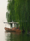 boat-in-trees-sized