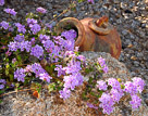 backyard-vase-3
