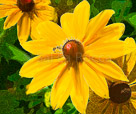 yellow-flower-painted