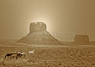 Mustang-at-The-Monument
