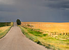 Storm-Road