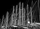 _DSC0054
