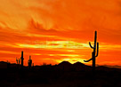 _fire-sunset-cacyus