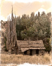 bunk-house-2-tint