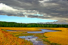 stream-with-clouds-corrected-2