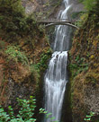 Water In Motion