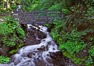 bridge-with-water-final