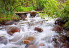 stream-1